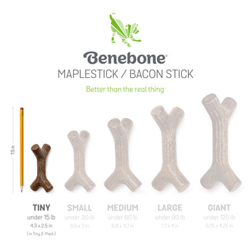 Puppy Pack-Maplestick/Zaggler Bacon